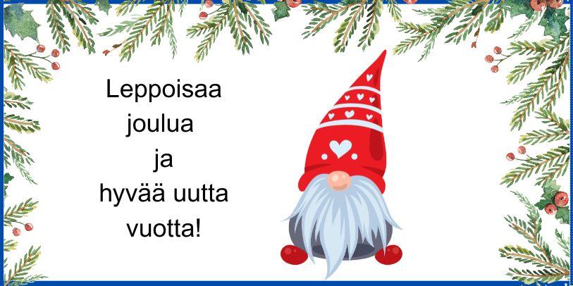 Joulutonttu, jolla harmaa parta ja suuri punainen pipo, jonka alle silmät jää.